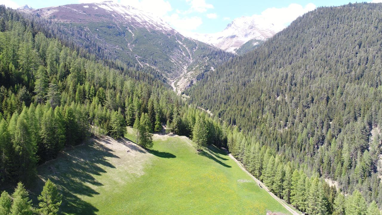Hotel Sonnenhalde Wiesen المظهر الخارجي الصورة